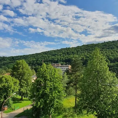 Penthouse Mineral B-4 Apartment