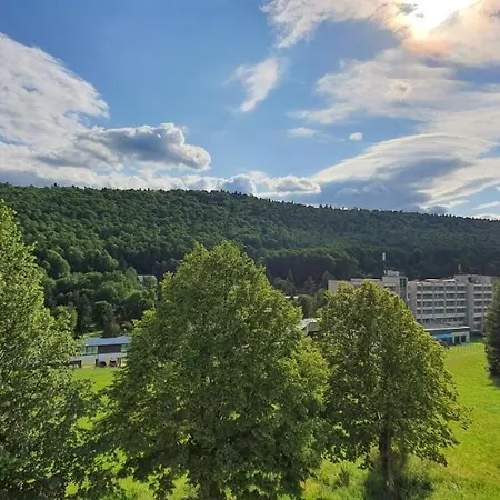 Апартаменты Penthouse Mineral B-4 Бардеевские Купели