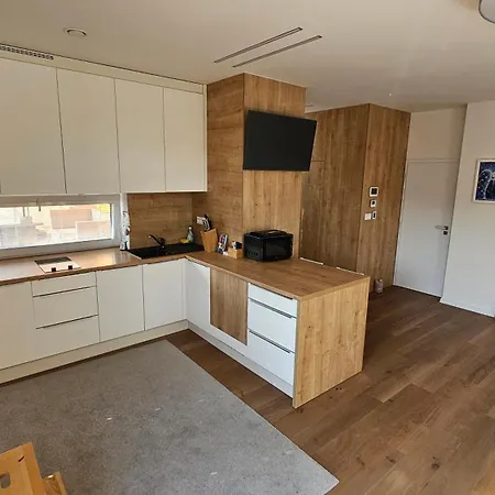 Penthouse Mineral B-4 Apartment *