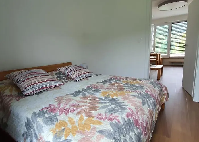 Penthouse Minerál B-4